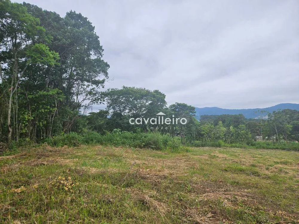 Terreno, 2 hectares - Foto 17