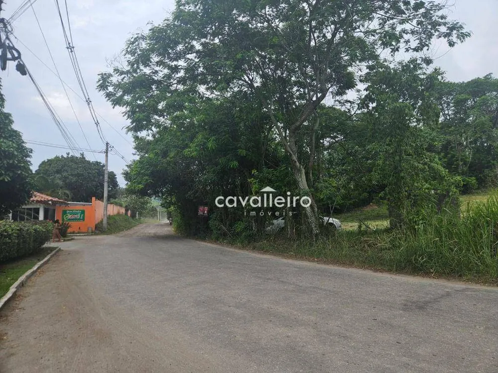 Terreno, 2 hectares - Foto 10