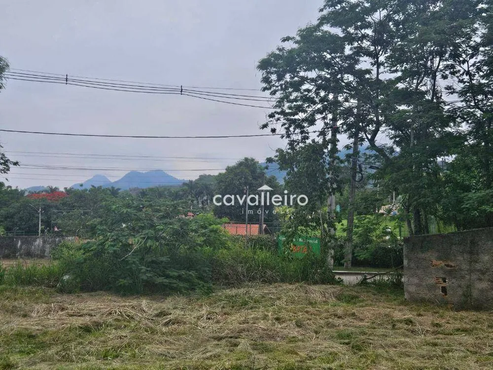 Terreno, 2 hectares - Foto 14