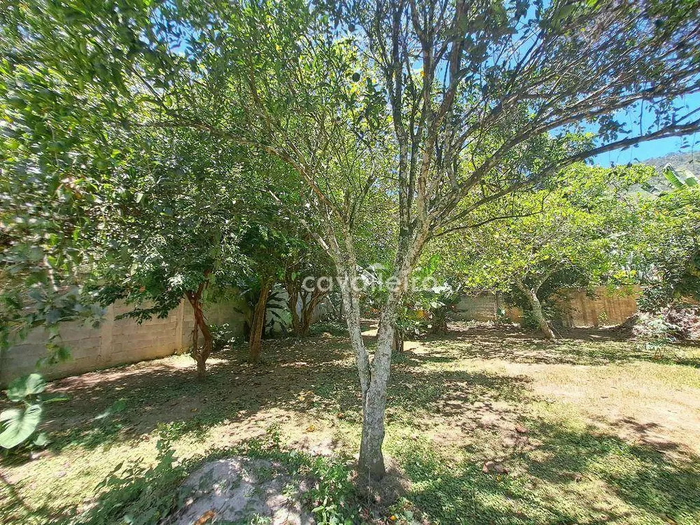 Casa, 7 quartos, 290 m² - Foto 38