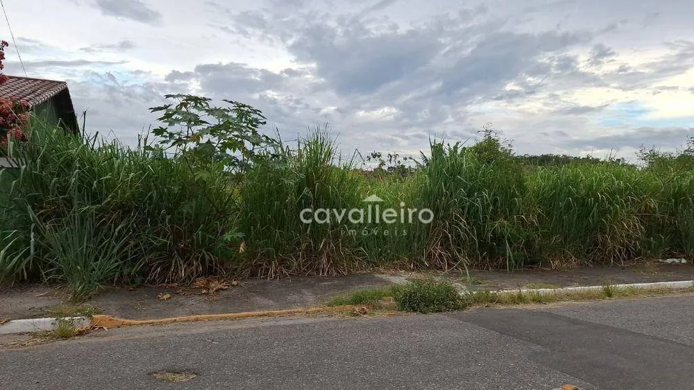 Terreno, 450 m² - Foto 6