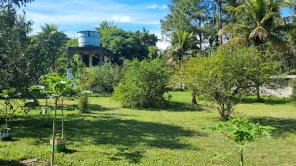 Chácara, 3 quartos, 9946 m² - Foto 39