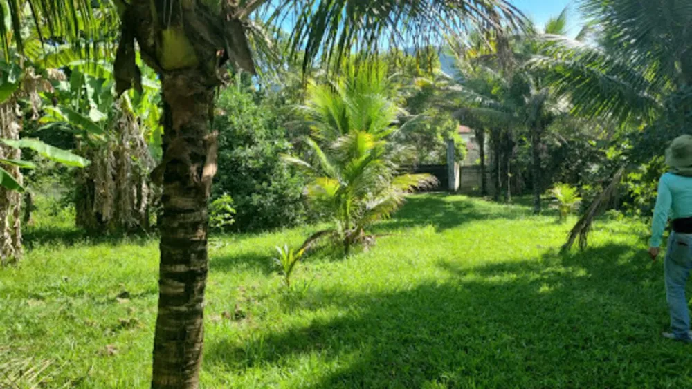 Chácara, 3 quartos, 9946 m² - Foto 65