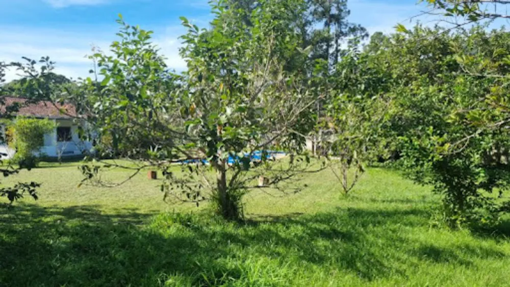 Chácara, 3 quartos, 9946 m² - Foto 52
