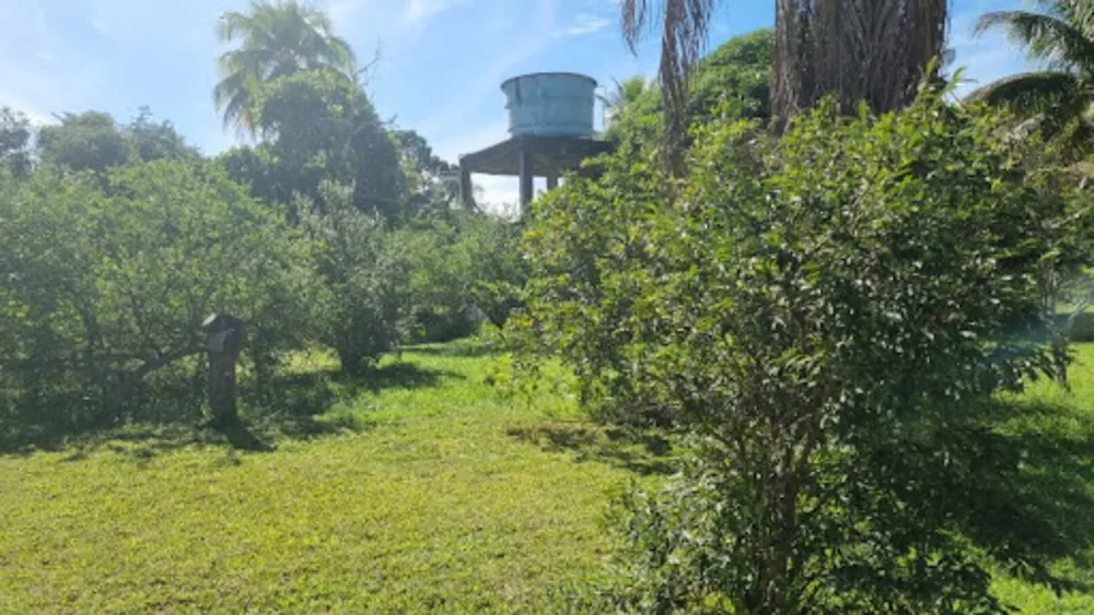 Chácara, 3 quartos, 9946 m² - Foto 5