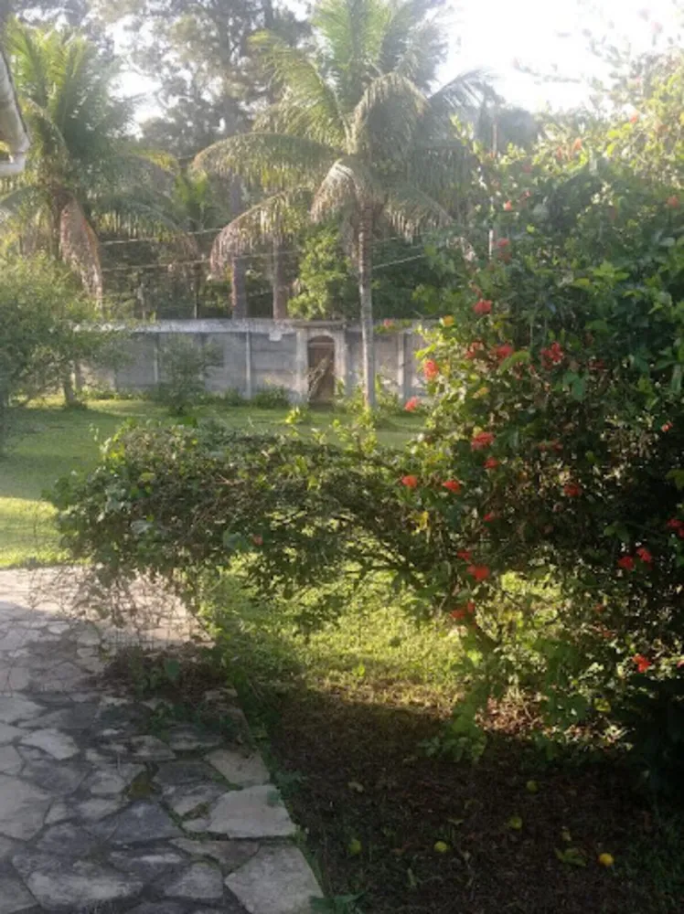 Chácara, 3 quartos, 9946 m² - Foto 19