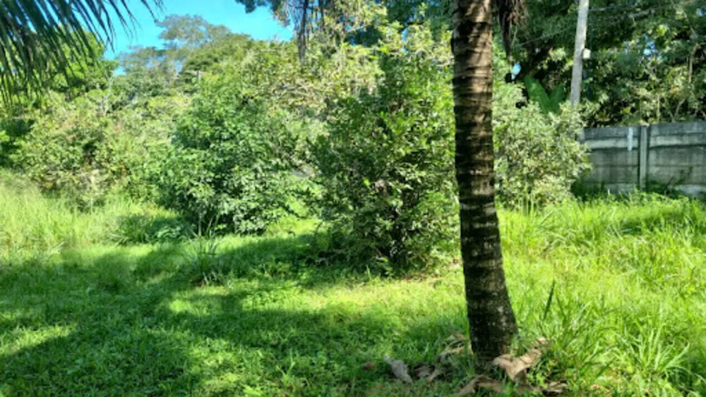 Chácara, 3 quartos, 9946 m² - Foto 61