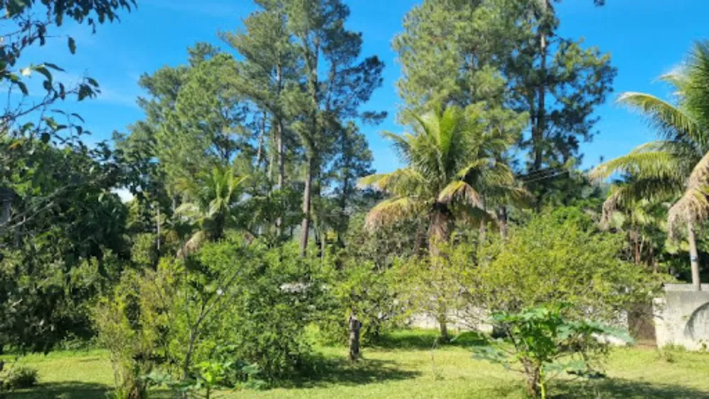 Chácara, 3 quartos, 9946 m² - Foto 4