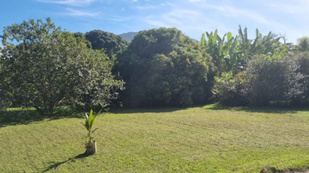 Chácara, 3 quartos, 9946 m² - Foto 47