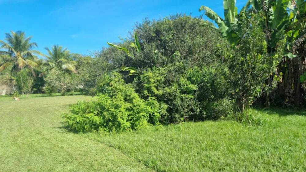 Chácara, 3 quartos, 9946 m² - Foto 67