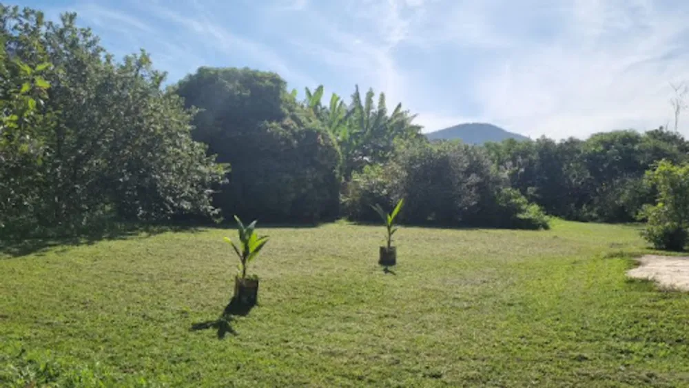 Chácara, 3 quartos, 9946 m² - Foto 49