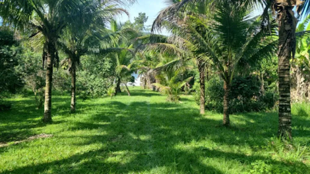 Chácara, 3 quartos, 9946 m² - Foto 60