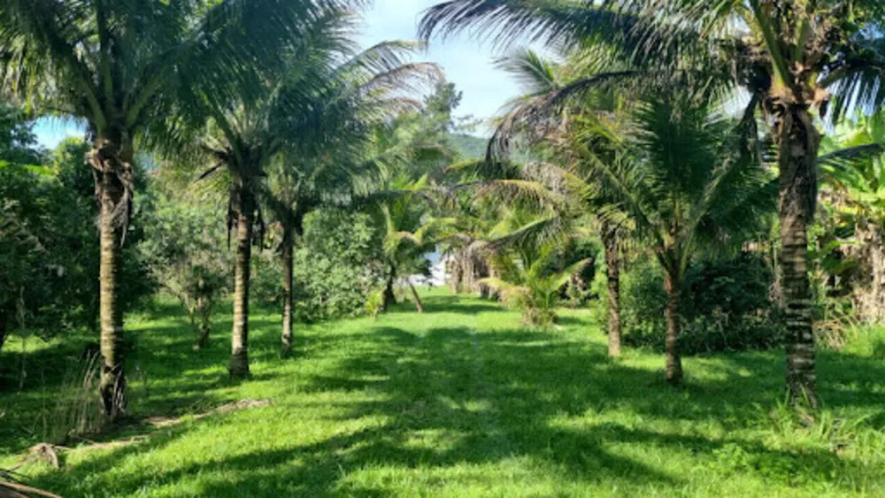 Chácara, 3 quartos, 9946 m² - Foto 58