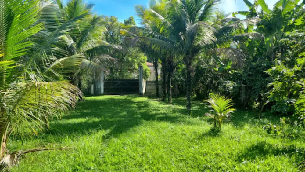 Chácara, 3 quartos, 9946 m² - Foto 63