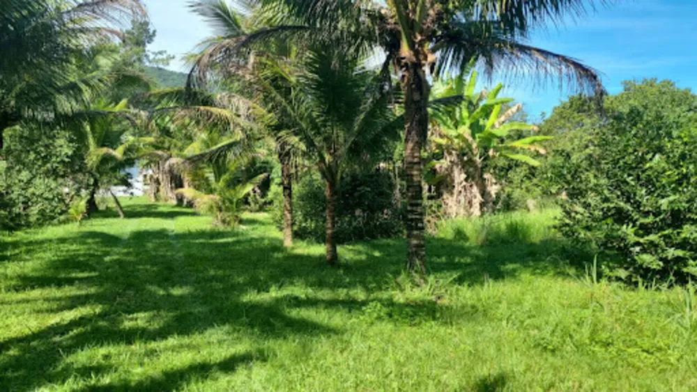 Chácara, 3 quartos, 9946 m² - Foto 57