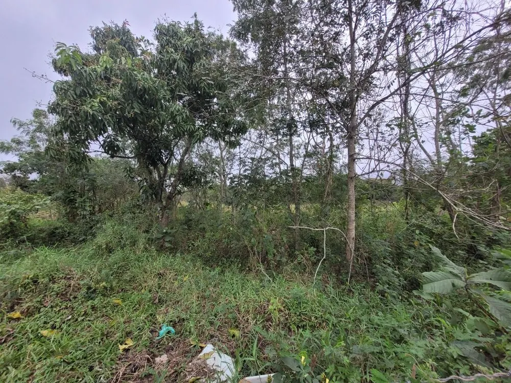 Terreno, 3200 m² - Foto 2
