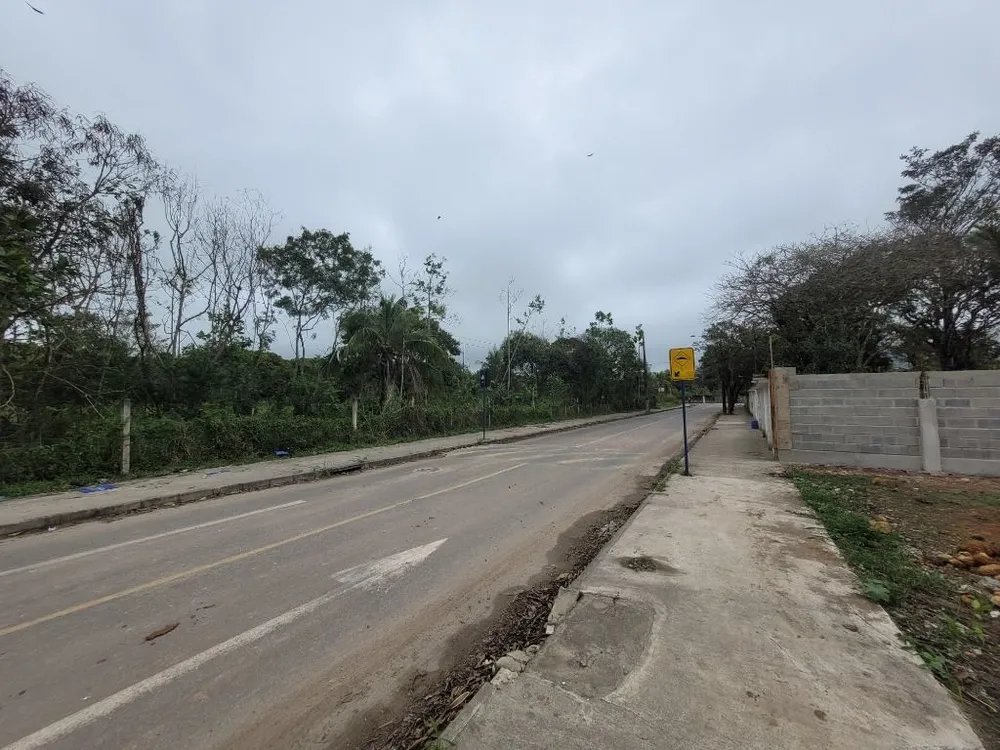 Terreno, 3200 m² - Foto 6