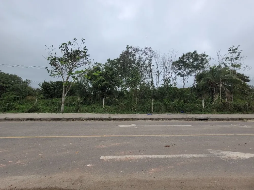 Terreno, 3200 m² - Foto 1
