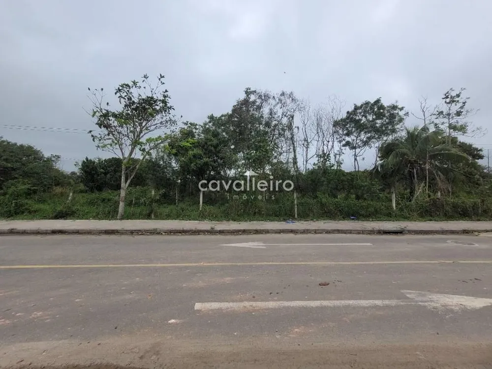 Terreno, 3200 m² - Foto 1