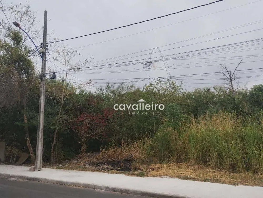 Terreno, 1000 m² - Foto 2