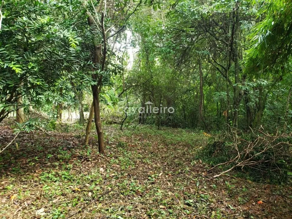 Terreno, 800 m² - Foto 2