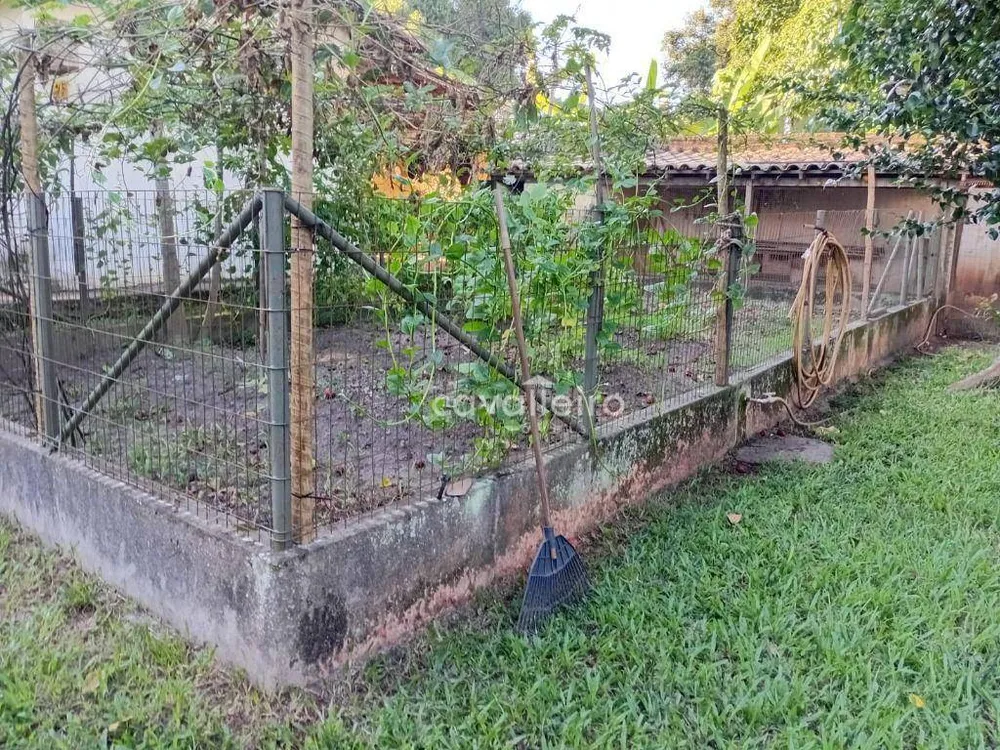 Sítio, 3 quartos, 2420 m² - Foto 29