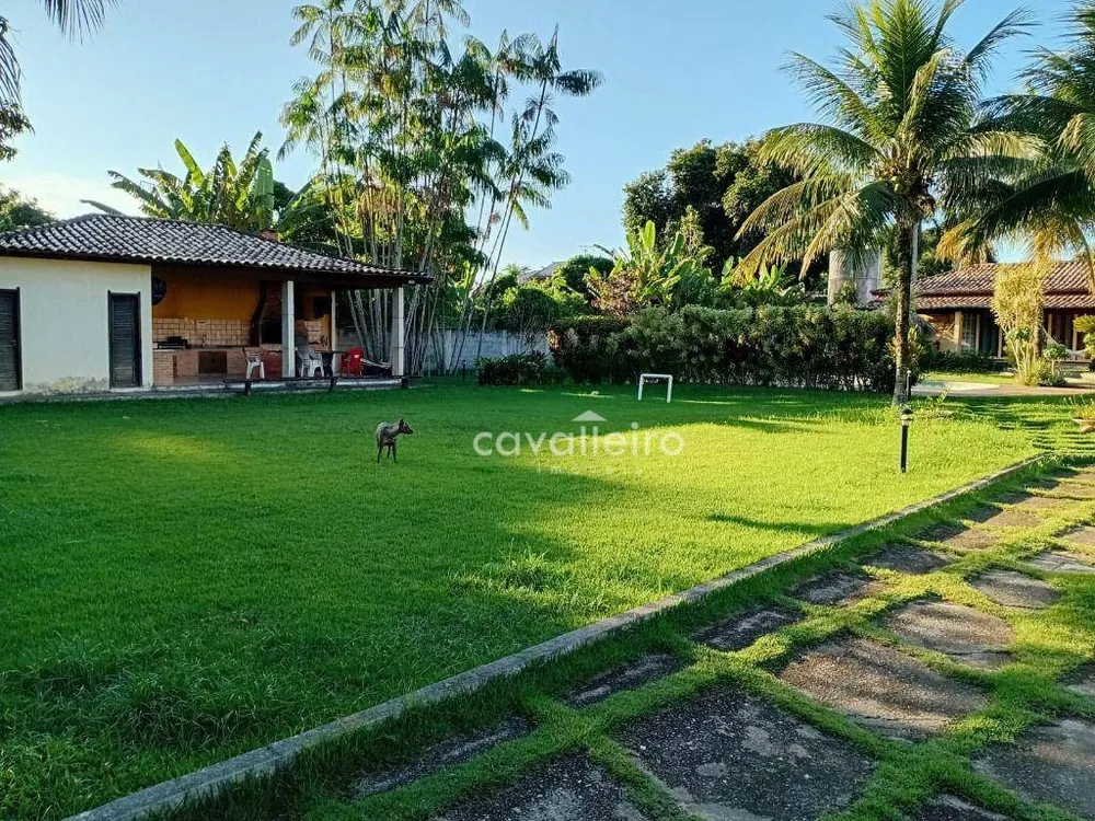 Sítio, 3 quartos, 2420 m² - Foto 19