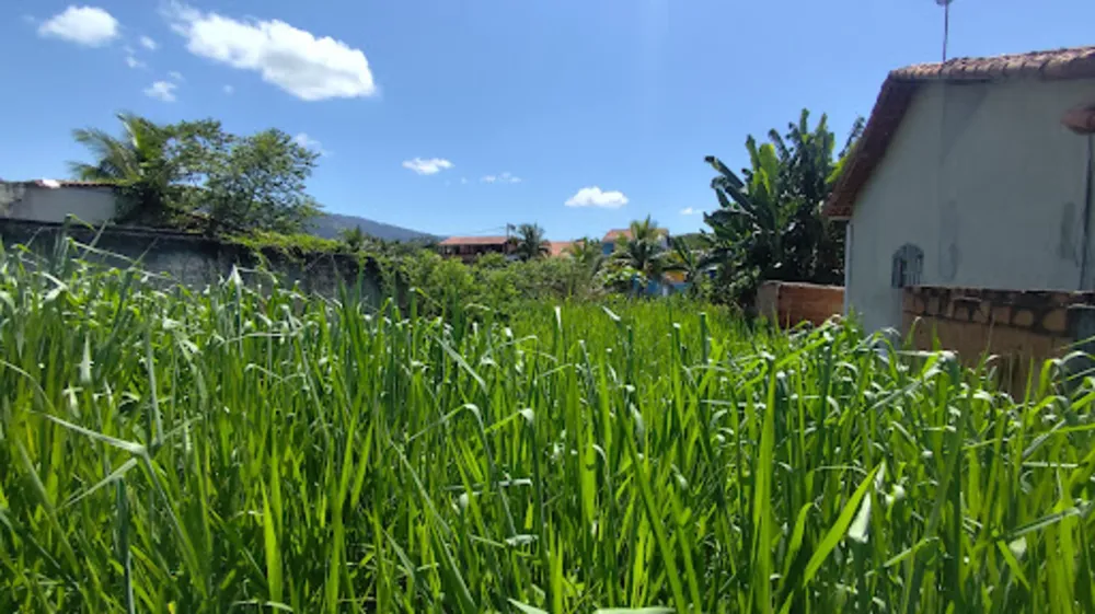 Loteamento e Condomínio, 3600 m² - Foto 5