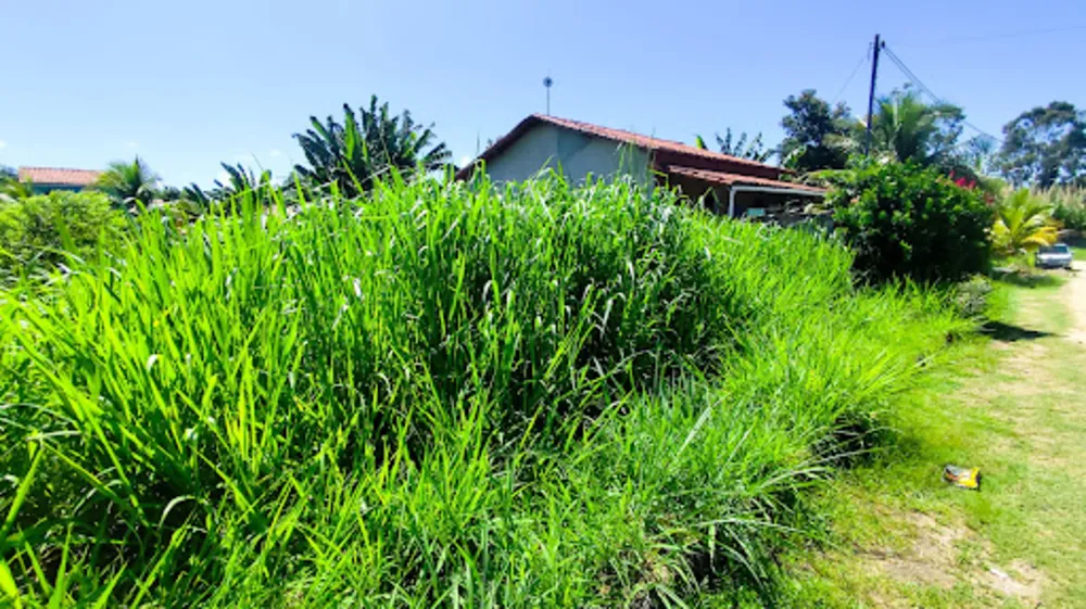 Loteamento e Condomínio, 3600 m² - Foto 6