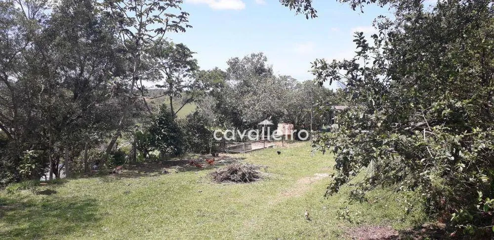 Sítio, 3 quartos, 3 hectares - Foto 33