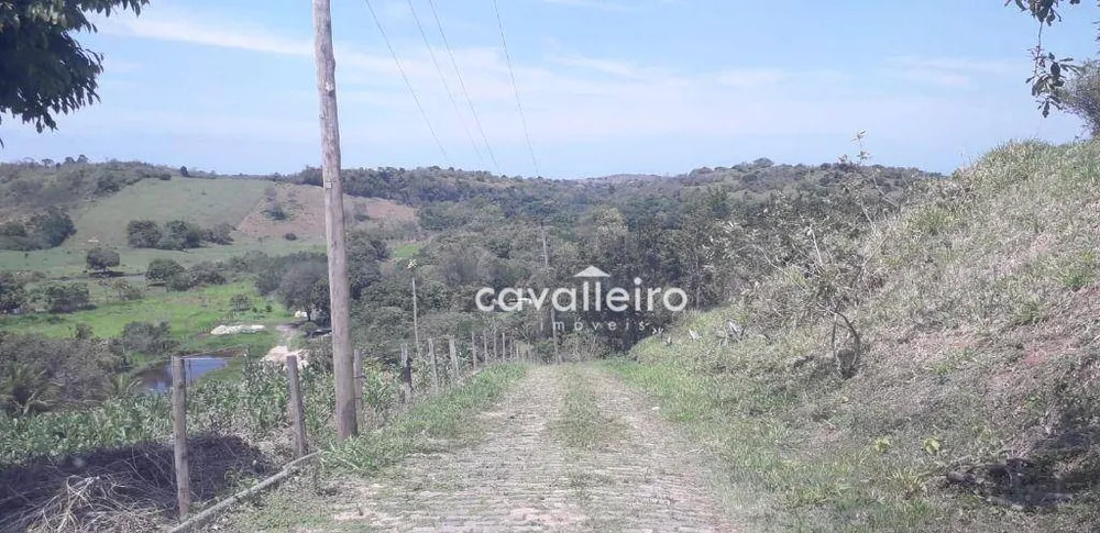 Sítio, 3 quartos, 3 hectares - Foto 27