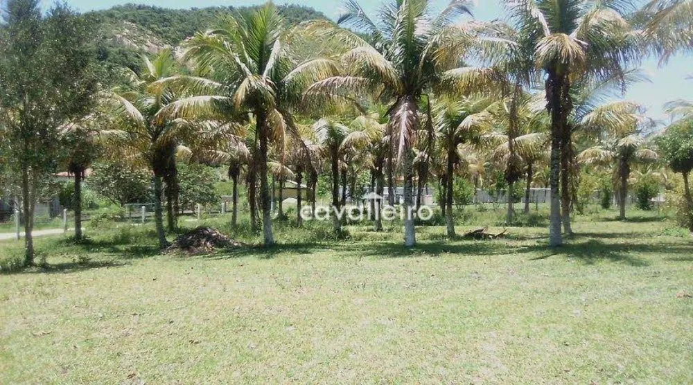 Chácara, 3 quartos, 1 hectares - Foto 40