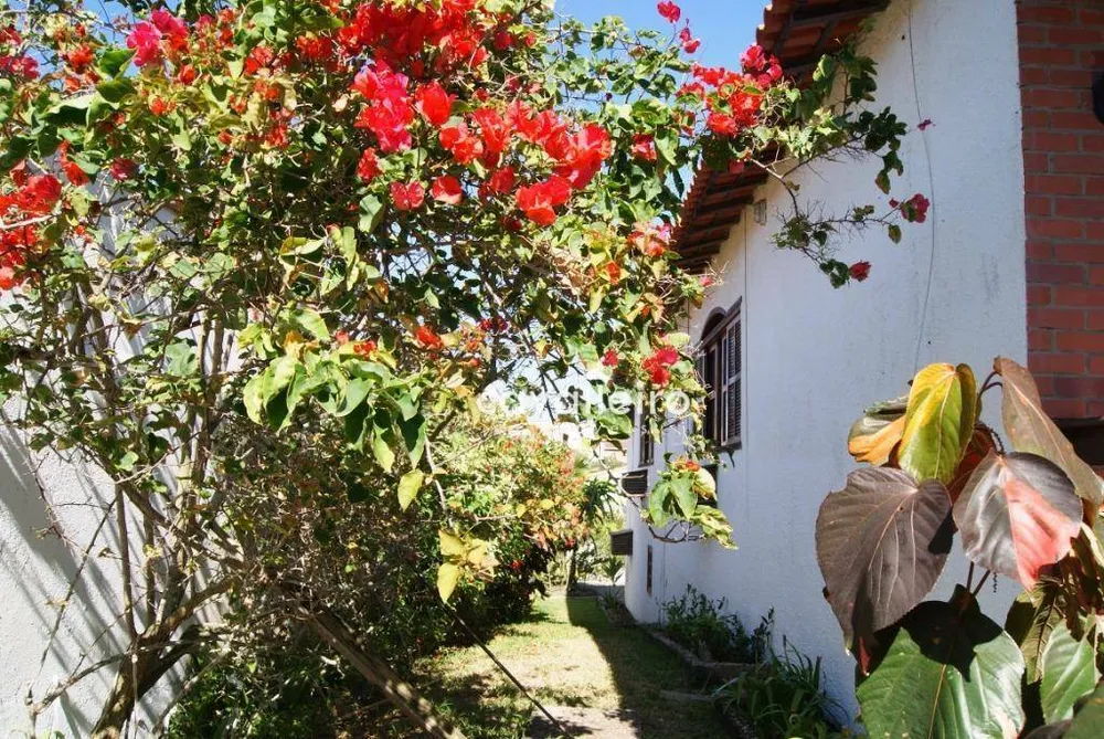Casa, 4 quartos, 200 m² - Foto 7