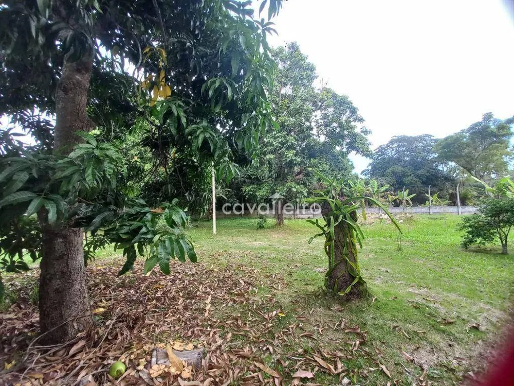Chácara, 3 quartos, 10000 m² - Foto 21