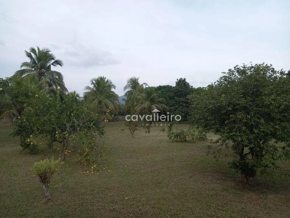 Chácara, 3 quartos, 10000 m² - Foto 14