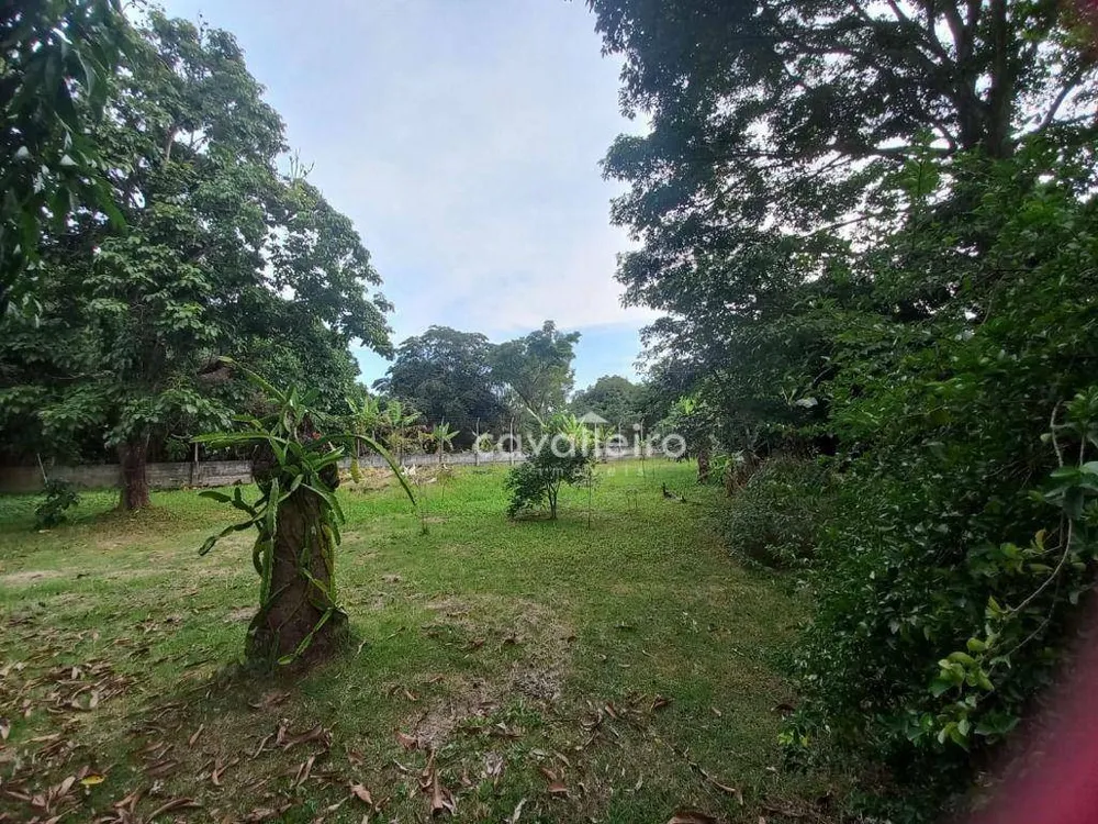 Chácara, 3 quartos, 10000 m² - Foto 20