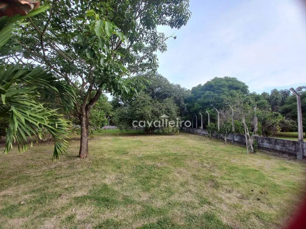 Chácara, 3 quartos, 10000 m² - Foto 5