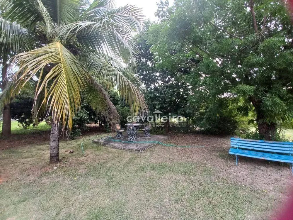 Chácara, 3 quartos, 10000 m² - Foto 23