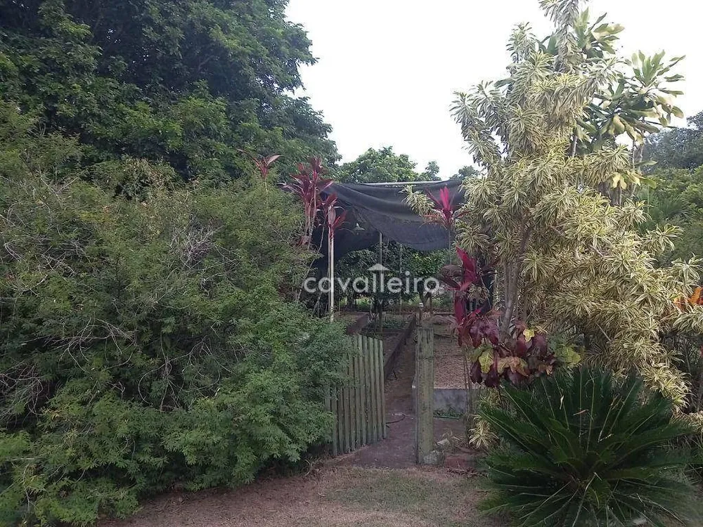 Chácara, 3 quartos, 10000 m² - Foto 3