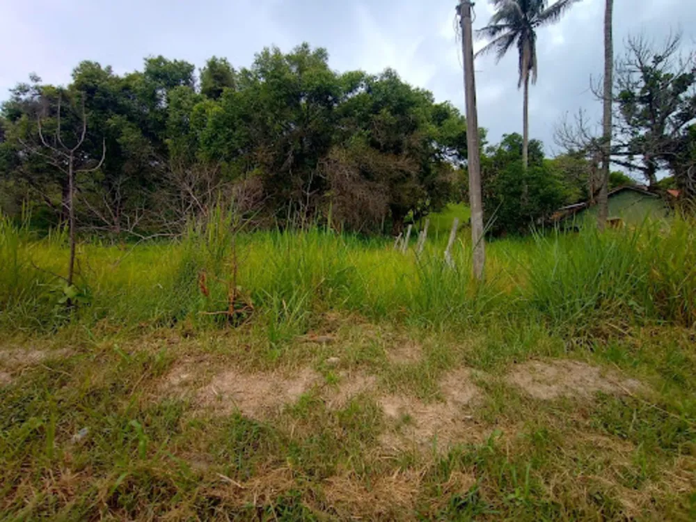 Terreno, 4530 m² - Foto 10