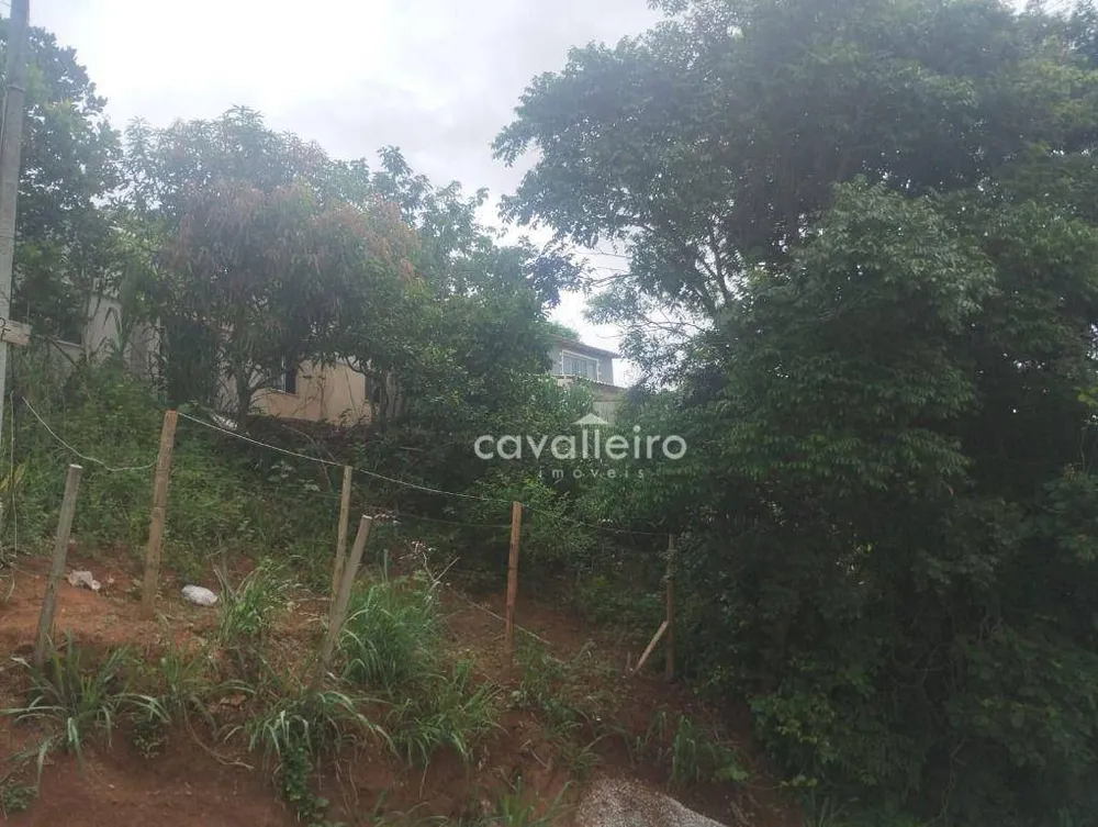 Terreno, 525 m² - Foto 6