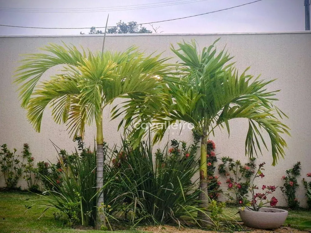Casa de Condomínio, 4 quartos - Foto 2