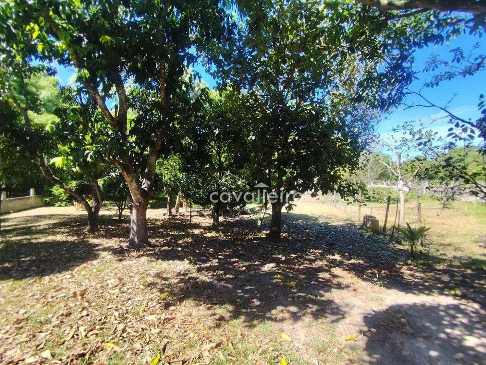 Sítio, 2 quartos, 5040 m² - Foto 18