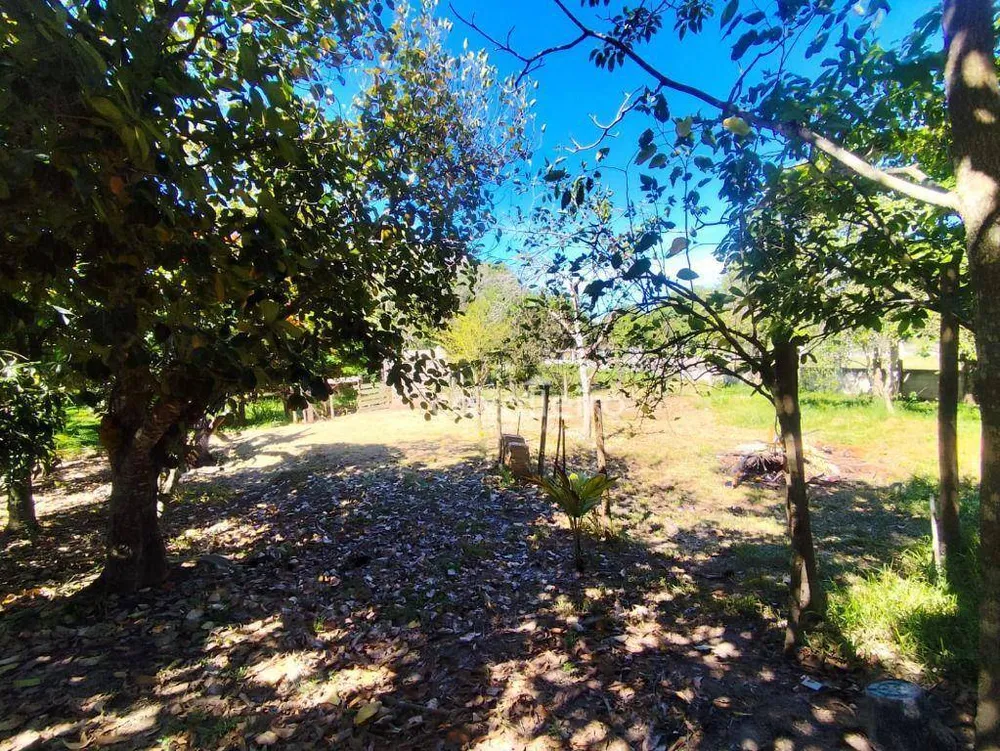 Sítio, 2 quartos, 5040 m² - Foto 27