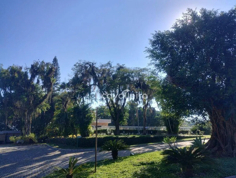 Terreno, 394 m² - Foto 6