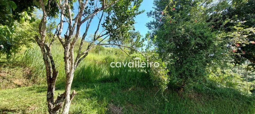 Terreno, 2 hectares - Foto 11