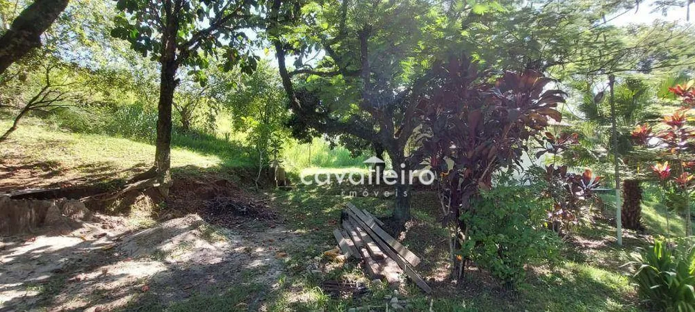 Terreno, 2 hectares - Foto 3