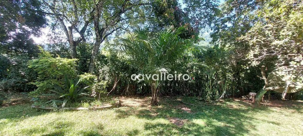 Terreno, 2 hectares - Foto 7