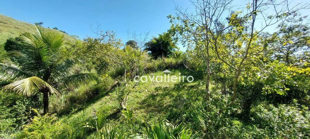 Terreno, 2 hectares - Foto 12
