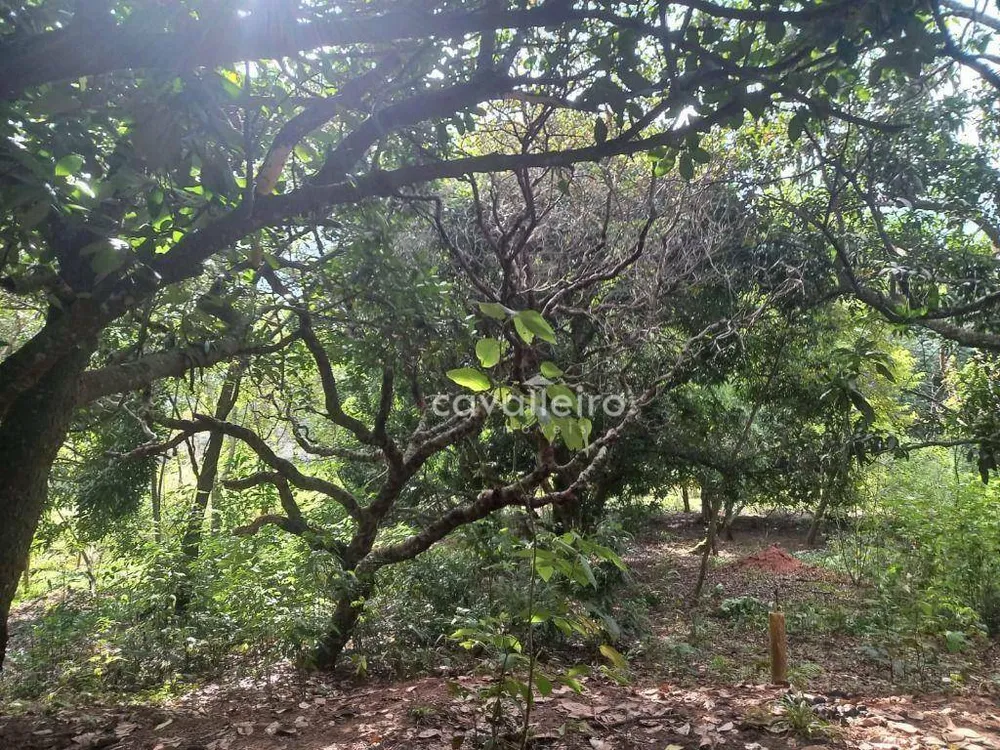 Sítio, 2 quartos, 3 hectares - Foto 40